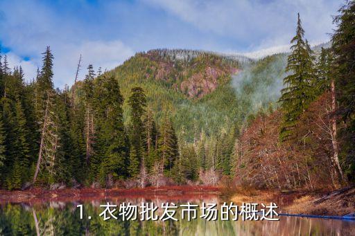 1. 衣物批发市场的概述